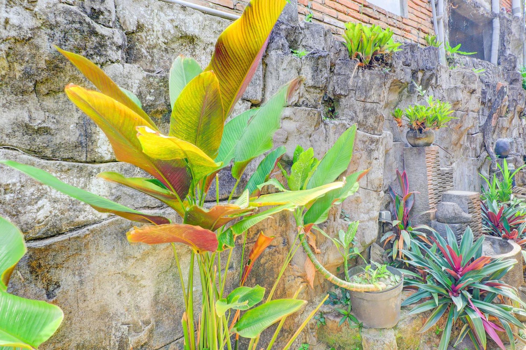 Hotel O Ubud Asri Homestay Near Monkey Forest Eksteriør billede